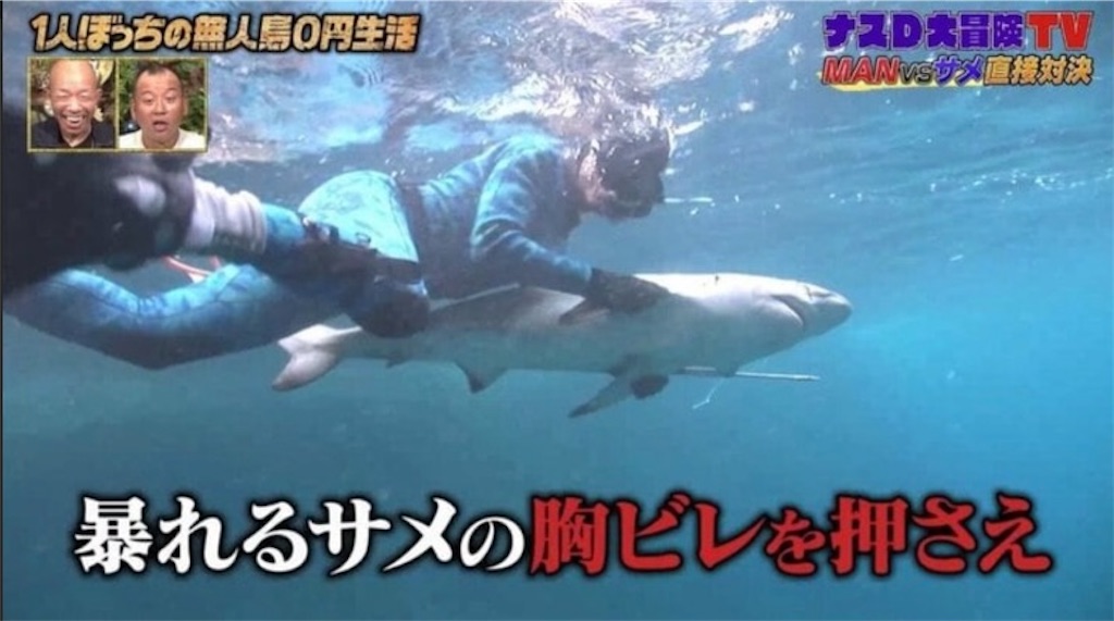f:id:annkorokoror:20220121225022j:image f:id:annkorokoror:20220121225022j:image