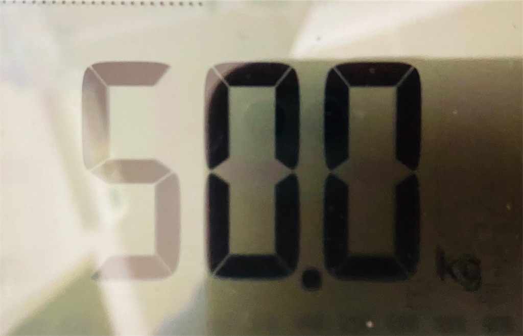 f:id:annkorokoror:20220408133435j:image f:id:annkorokoror:20220408133435j:image