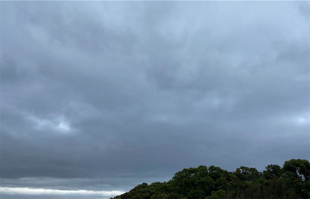 f:id:annkorokoror:20220416104444j:image f:id:annkorokoror:20220416104444j:image