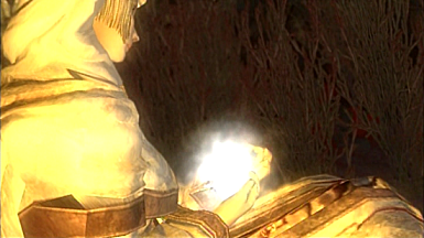 ステージ攻略 谷3 マップ付き デモンズソウル攻略 ゆっきーの夜想曲 ステージ攻略 谷3 マップ付き デモンズソウル攻略 ゆっきーの夜想曲