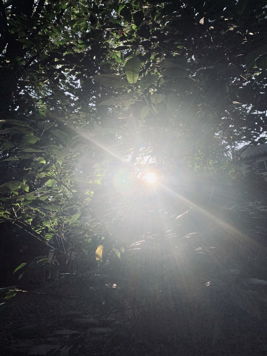 f:id:annoiell:20191110234309j:plain