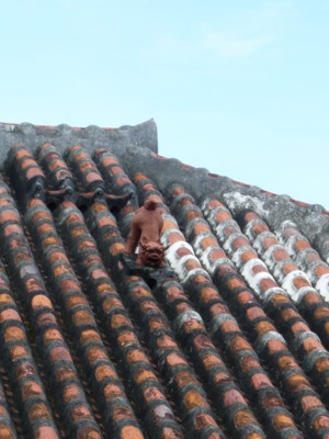 f:id:annoncita:20100729094835j:image:h200 f:id:annoncita:20100729094835j:image:h200