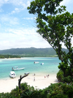 f:id:annoncita:20100729133301j:image:h200 f:id:annoncita:20100729133301j:image:h200