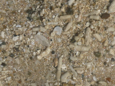 f:id:annoncita:20100729143635j:image:h200 f:id:annoncita:20100729143635j:image:h200