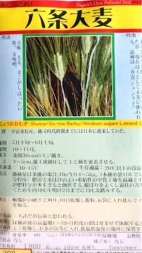 f:id:annonseikatu:20190530190039j:image f:id:annonseikatu:20190530190039j:image