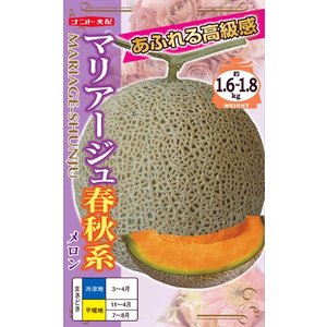 f:id:annonseikatu:20200720144413j:plain