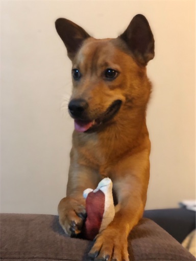 f:id:annscoffee:20221120064202j:image f:id:annscoffee:20221120064202j:image