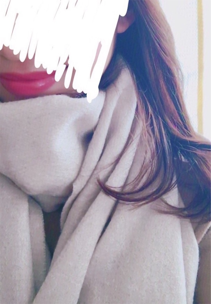 f:id:annwahaha:20161211195034j:image