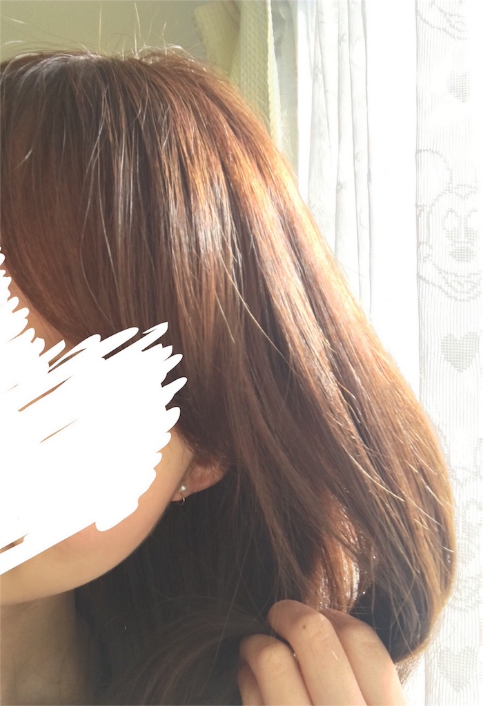 f:id:annwahaha:20170121144131j:image f:id:annwahaha:20170121144131j:image
