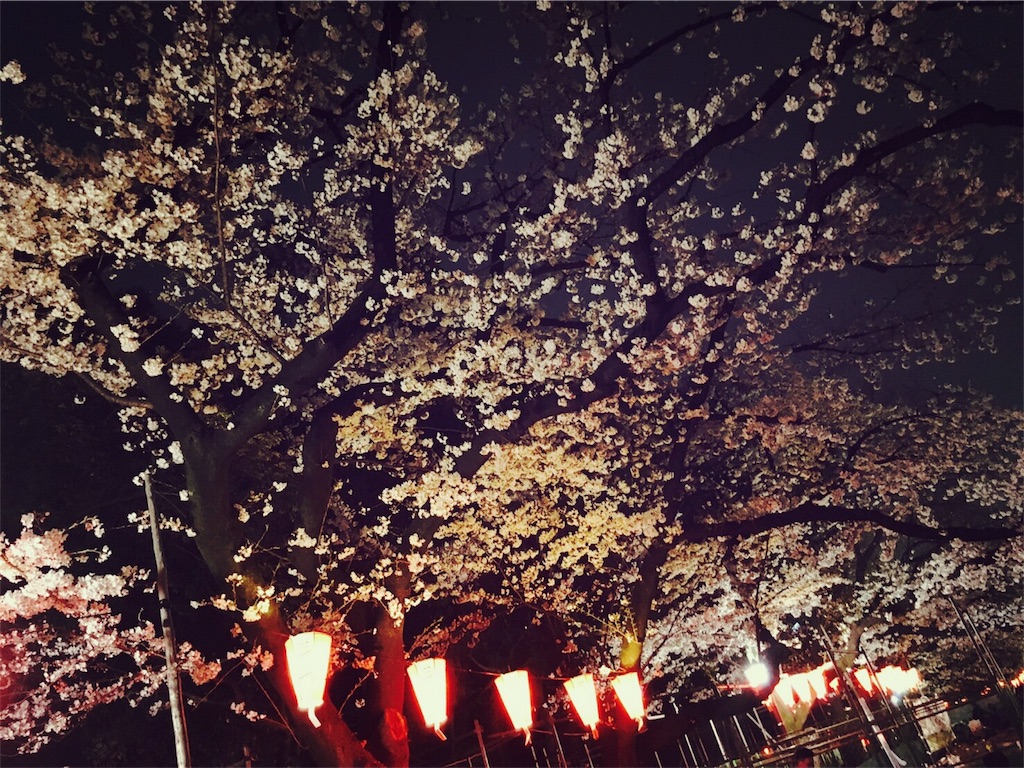 f:id:annwahaha:20170408181220j:image