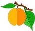 f:id:annzuchan:20200417223348j:plain