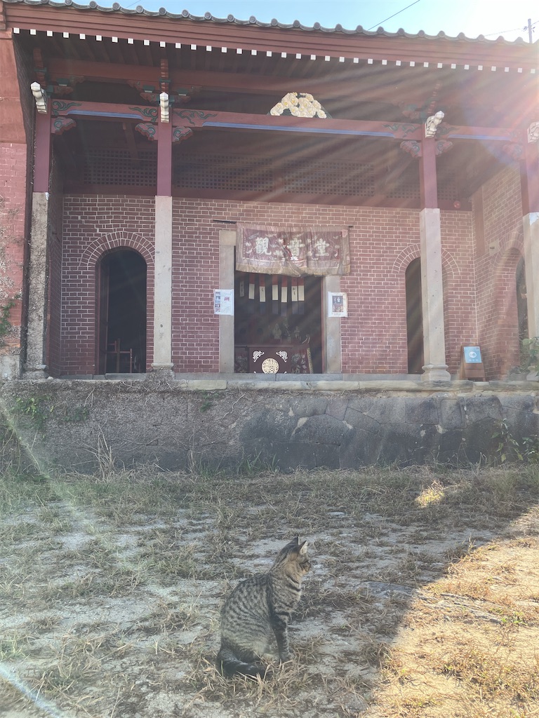 f:id:ano_hacienda:20251019230344j:image