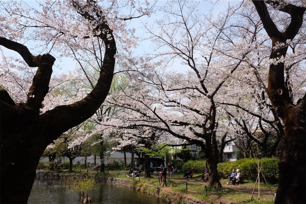 f:id:anoco:20210329081610j:image f:id:anoco:20210329081610j:image