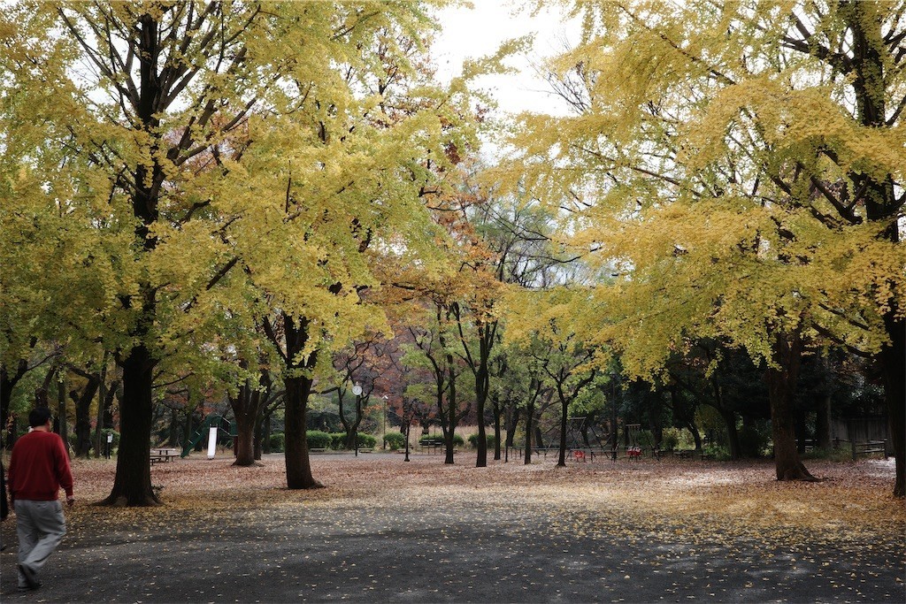 f:id:anoco:20221126212757j:image