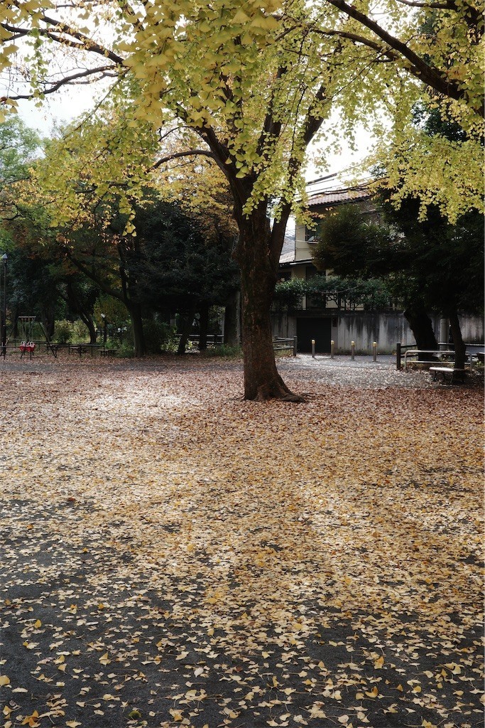 f:id:anoco:20221126212810j:image