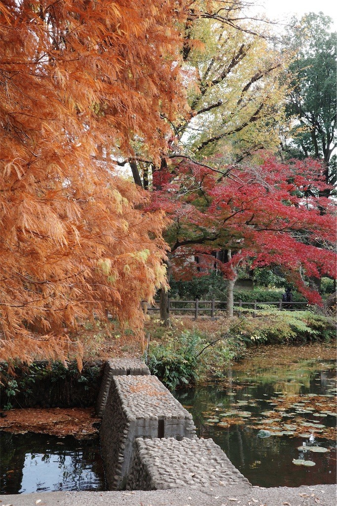 f:id:anoco:20221126212859j:image