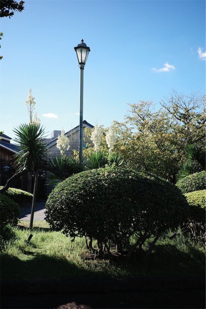 f:id:anoco:20241016212258j:image