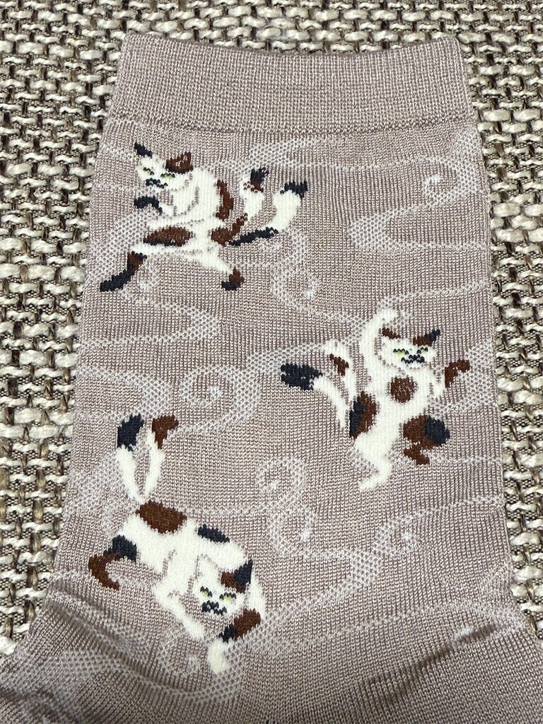 f:id:anoco:20250918133022j:image