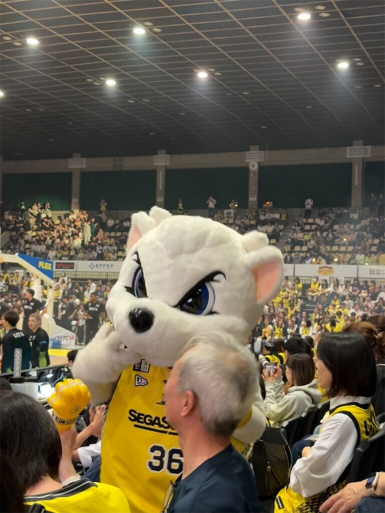 f:id:anoco:20251027102026j:image