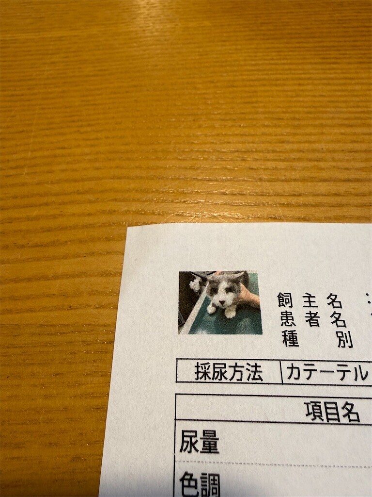 f:id:anoco:20260226082417j:image