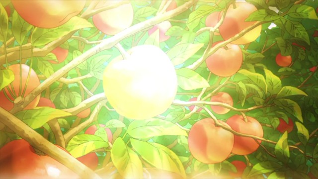 f:id:anogra:20190318172713j:image