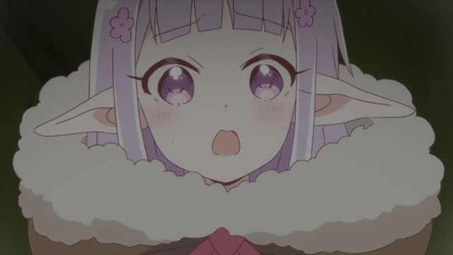 f:id:anogra:20190318181634j:image