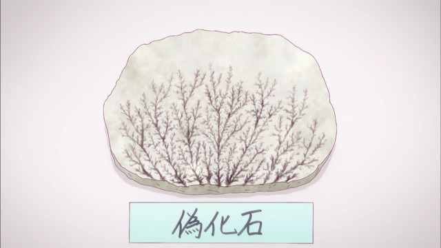f:id:anogra:20200129212724j:image f:id:anogra:20200129212724j:image