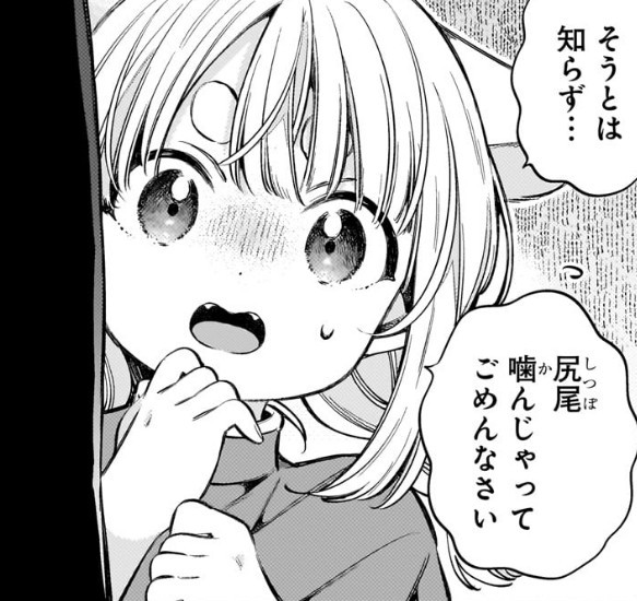 f:id:anogra:20260207142303j:image