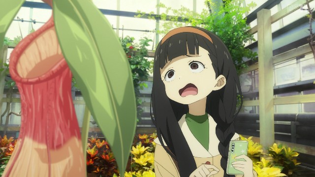 f:id:anokanatarium:20241214012604j:image f:id:anokanatarium:20241214012604j:image
