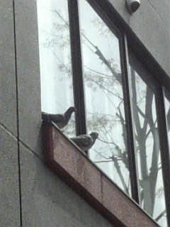 f:id:anorak:20080415200001j:image