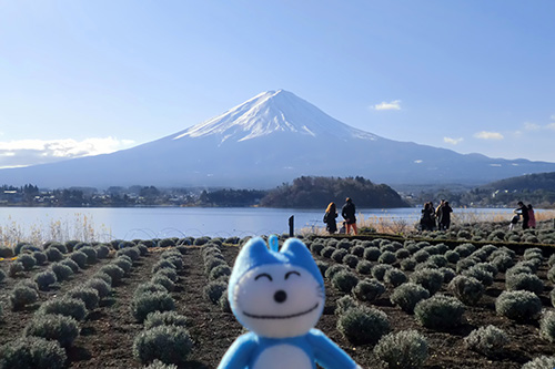 富士山