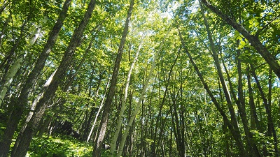 乗鞍高原