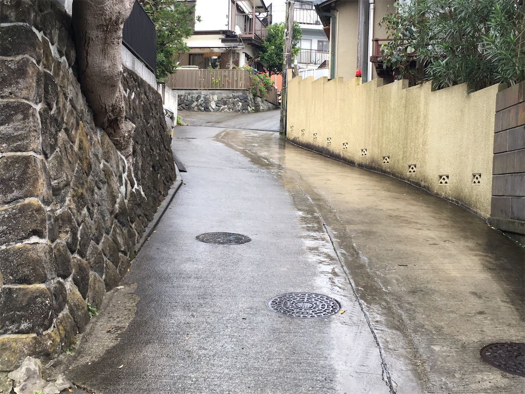 f:id:anoxia2018:20211101230739j:image