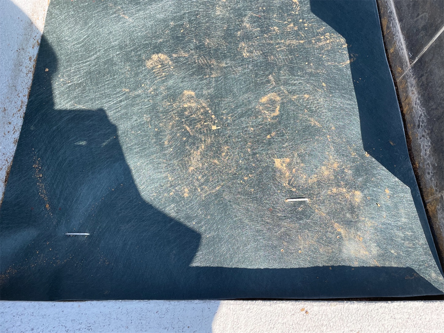 f:id:anpan_mama:20210925145635j:plain