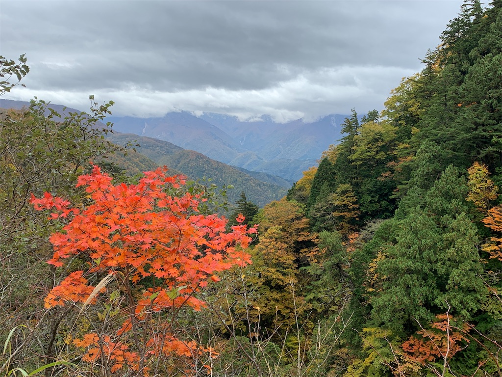 f:id:anpanchichi:20191026162804j:image