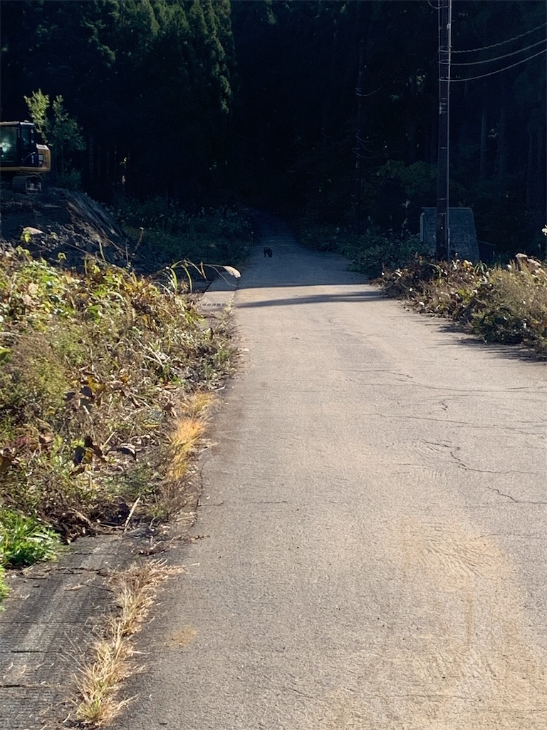 f:id:anpanchichi:20191110145835j:image f:id:anpanchichi:20191110145835j:image