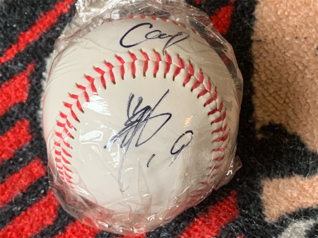 f:id:anpanchichi:20210321145340j:image