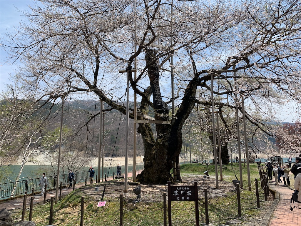 f:id:anpanchichi:20210424213417j:image