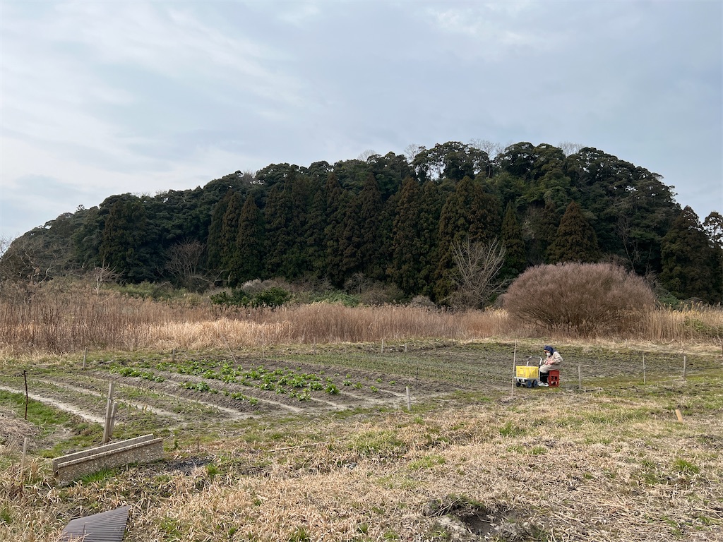 f:id:anpanchichi:20220315173002j:image f:id:anpanchichi:20220315173002j:image