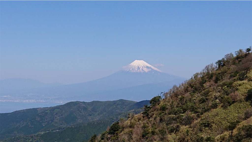f:id:anpanchichi:20230412205213j:image