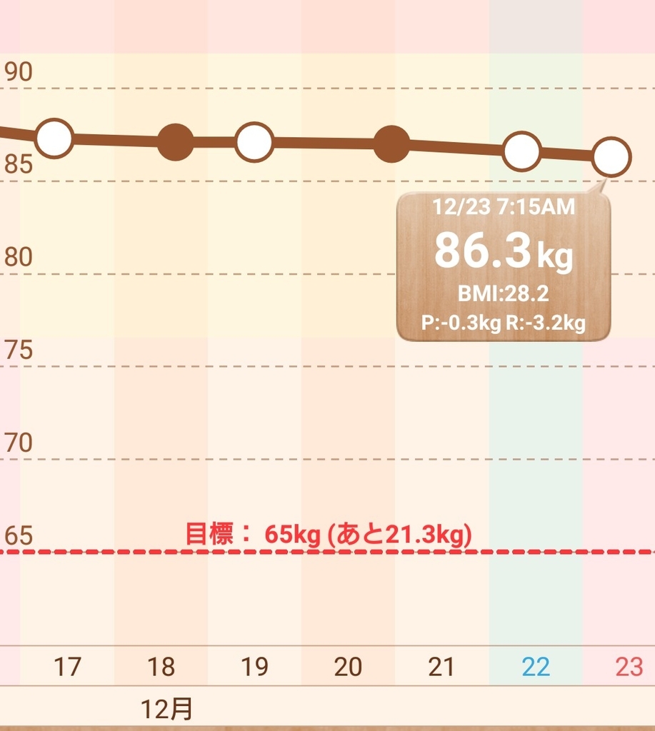 f:id:anpanman1973:20181223075051j:plain