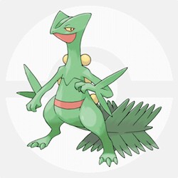 f:id:anpokemas:20180124194207j:image f:id:anpokemas:20180124194207j:image