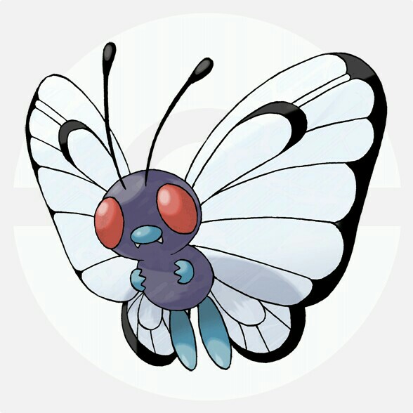 f:id:anpokemas:20180222062444j:image f:id:anpokemas:20180222062444j:image