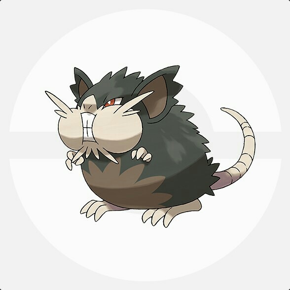 f:id:anpokemas:20180222062508j:image f:id:anpokemas:20180222062508j:image