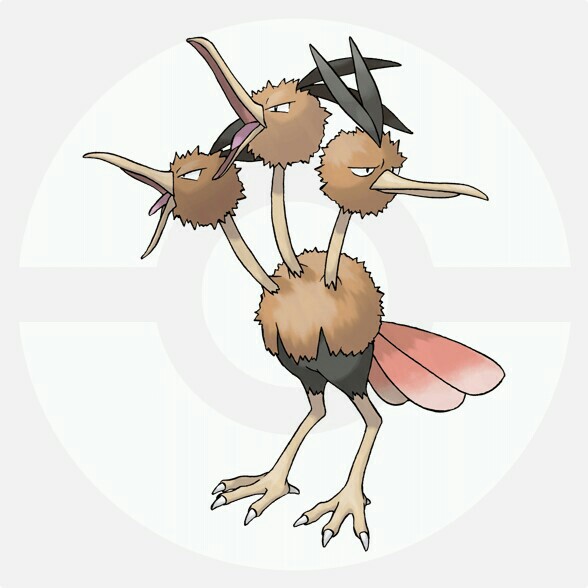 f:id:anpokemas:20180222062531j:image f:id:anpokemas:20180222062531j:image