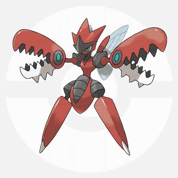f:id:anpokemas:20180226162356j:image f:id:anpokemas:20180226162356j:image
