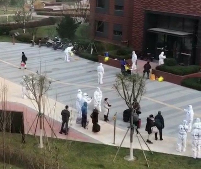 f:id:anprimus_andor:20211119101007j:image