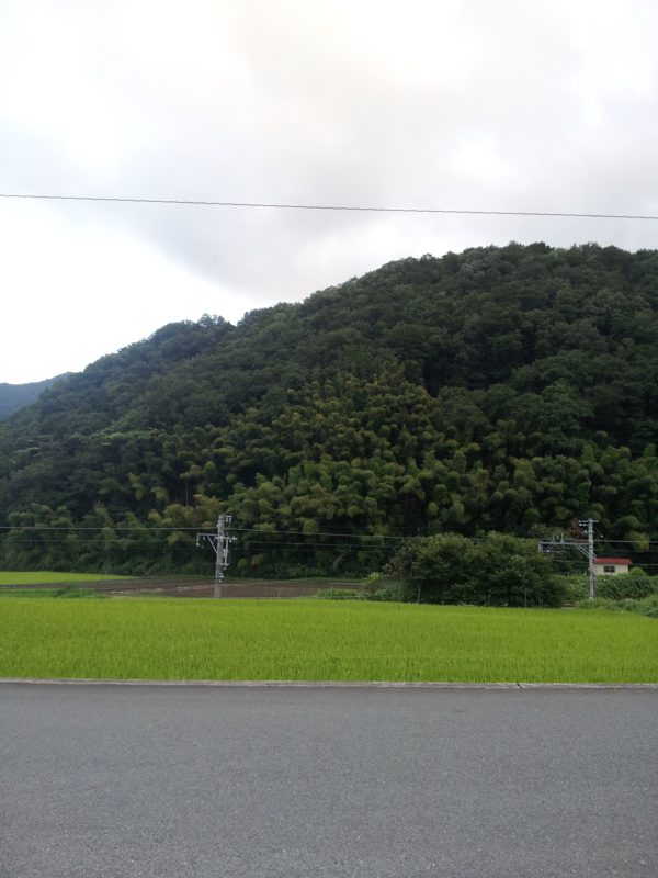20120807182135