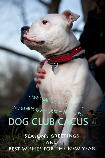 20131208190003