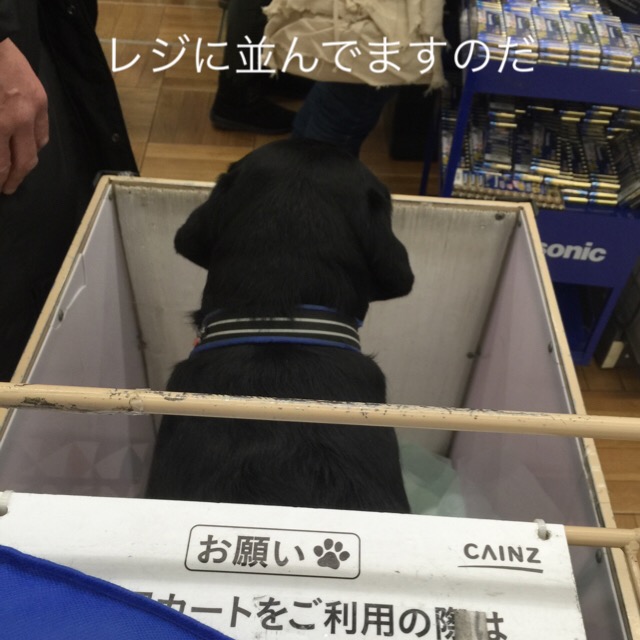 f:id:anri0508:20180204164706j:plain